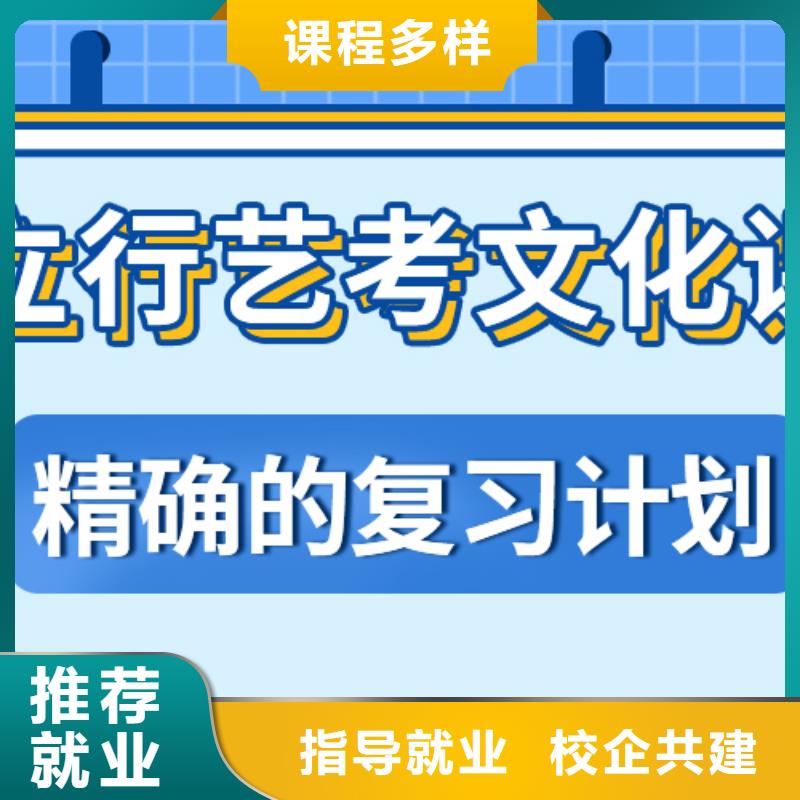 艺考文化课集训【高中一对一辅导】学真技术