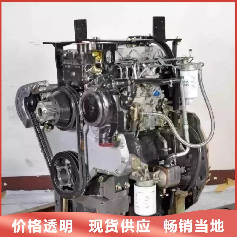 厂家经验丰富<贝隆>292F双缸风冷柴油机-292F双缸风冷柴油机放心之选