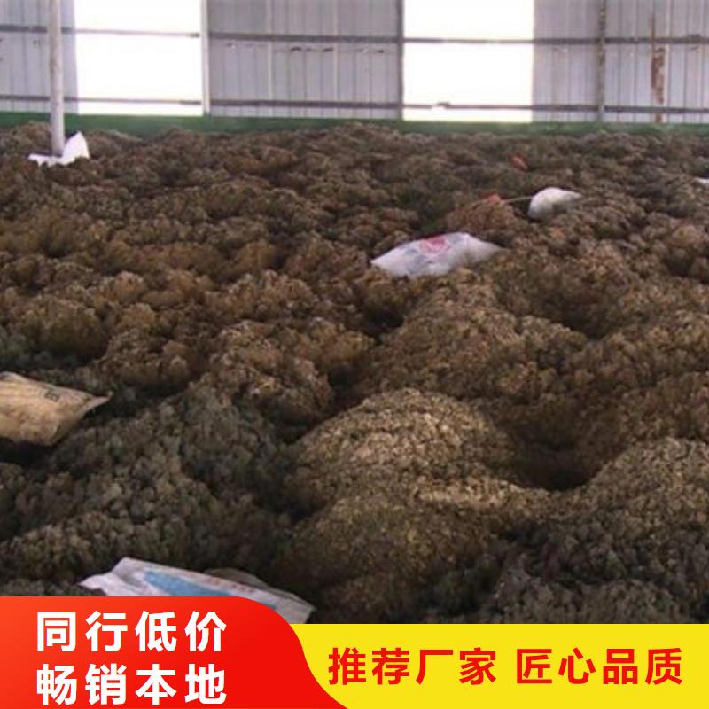 含铜泥回收二手光伏板免费评估