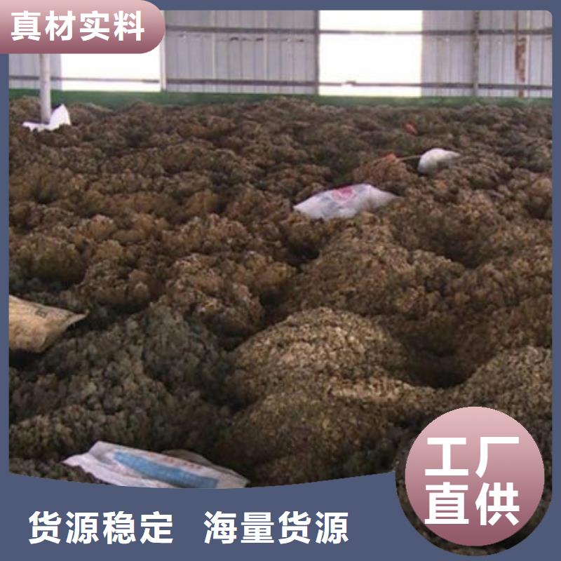 含铜泥【光伏组件回收厂家】专业服务