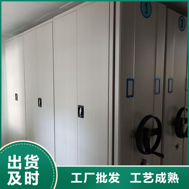 精诚合作【世晔】网片式油画密集架