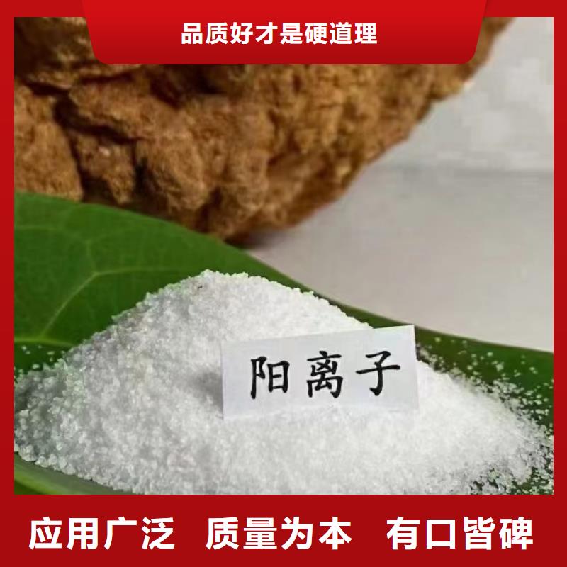 聚丙烯酰胺订购