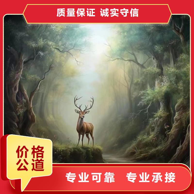 文昌市手绘墙涂鸦壁画绘画公司团队