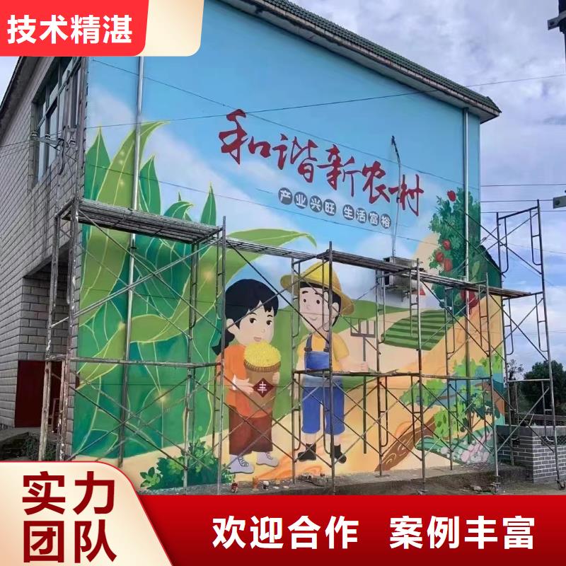 嘉兴嘉善美丽乡村彩绘手绘壁画工作室