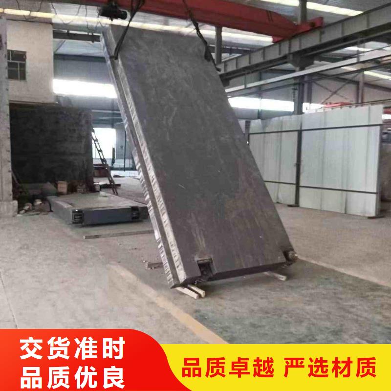 探伤室防护门产品细节参数