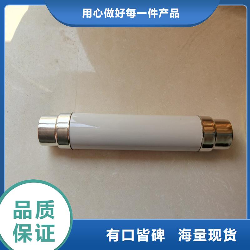 XRNP1-12KV/0.5A高压熔管