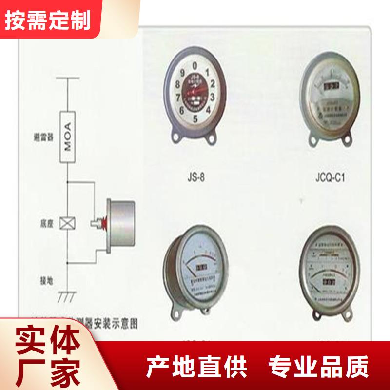 计数器氧化锌避雷器销售厂家直销