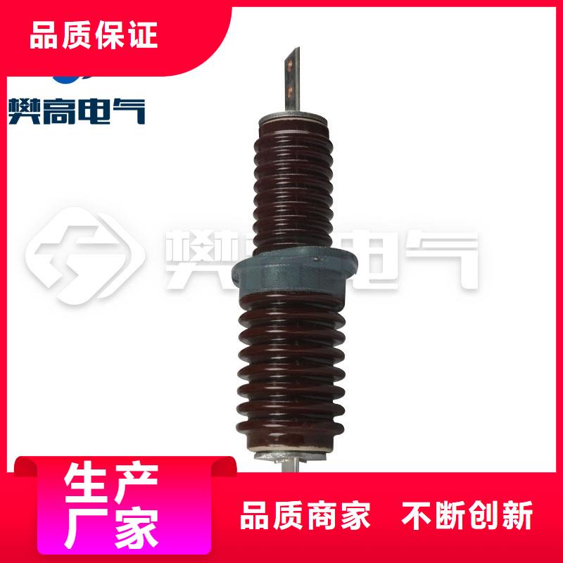 CWWB-10/1000高压套管