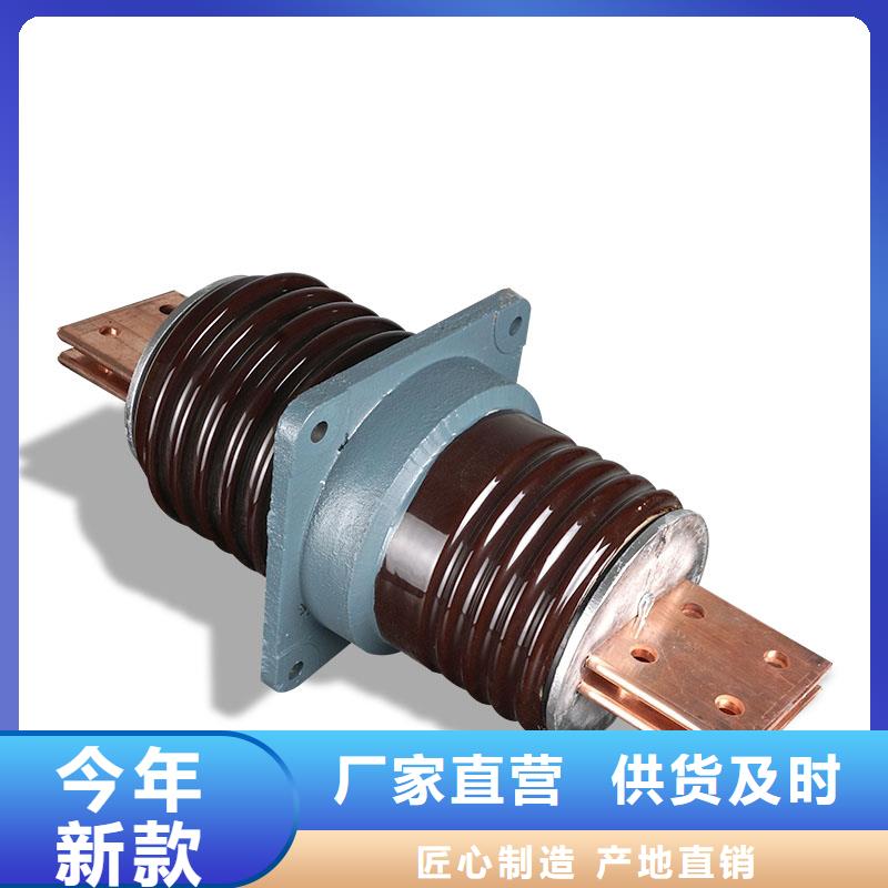 CWC-20/3150A高压套管