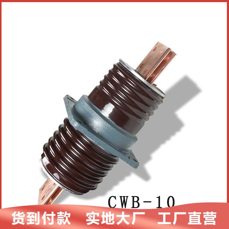 CWWB-20/3000A高压套管