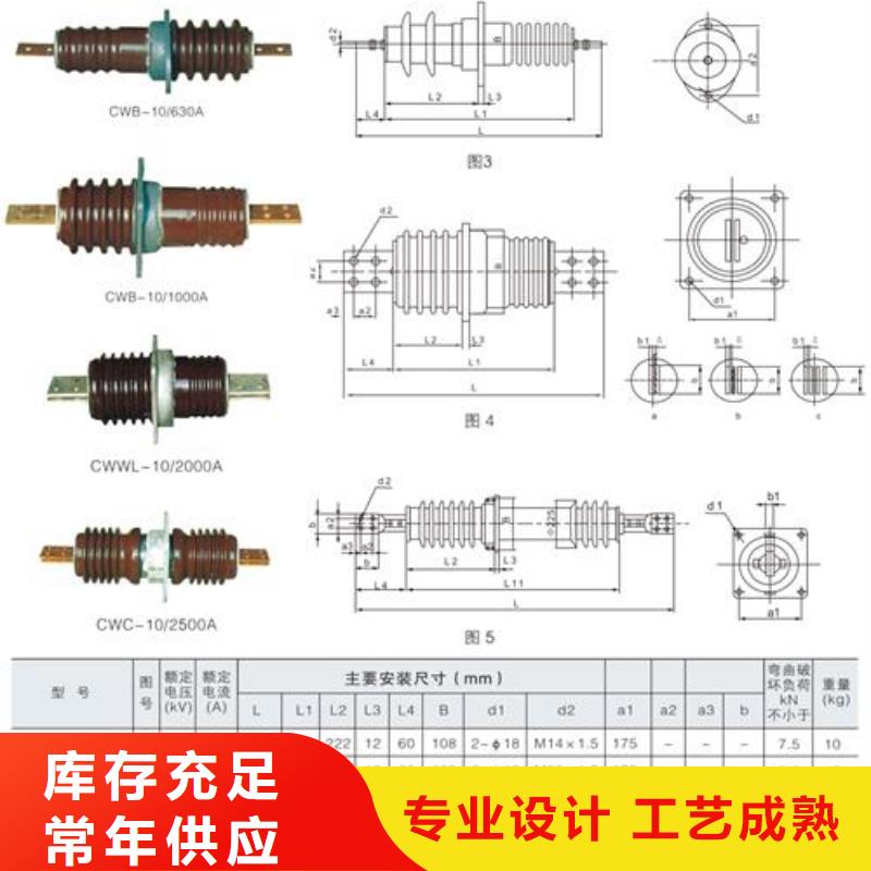CWC-35/3150A陶瓷套管