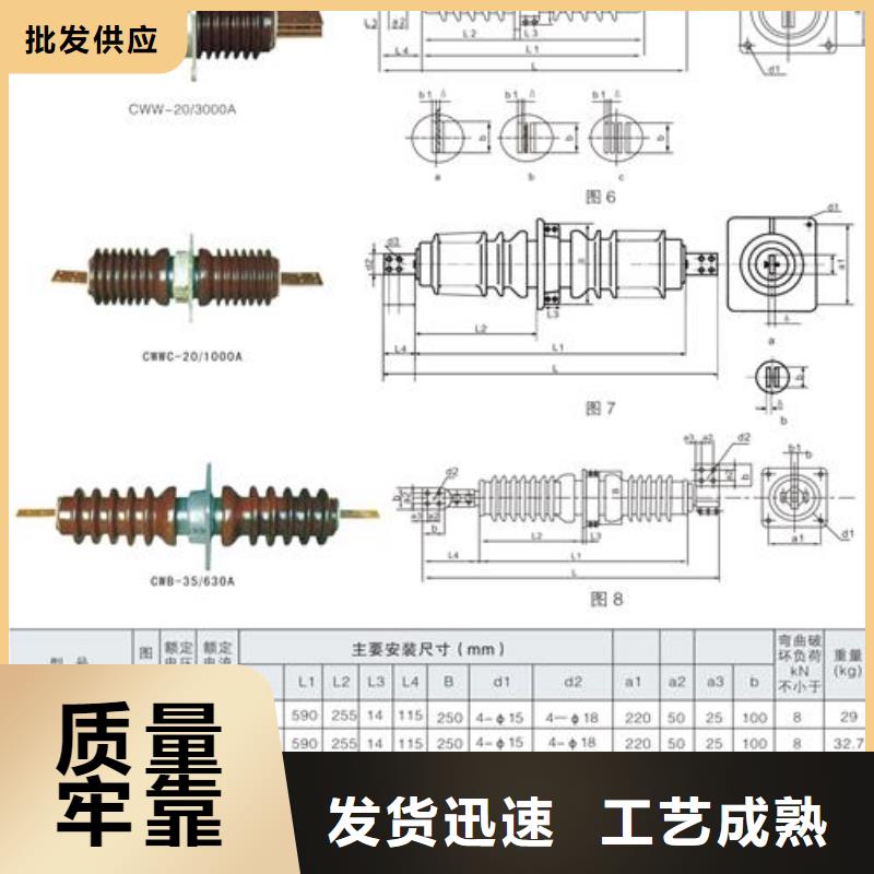 CWC-20/3150A高压套管