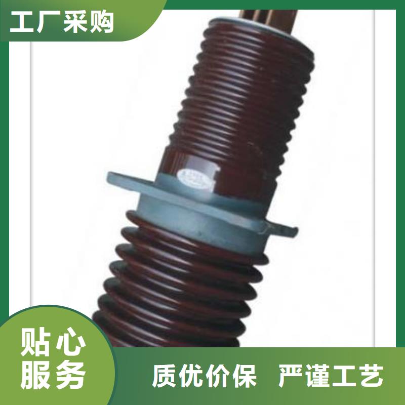 CWWB-10/1000高压套管