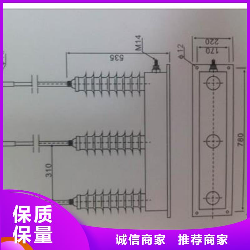 过电压保护器_高低压电器客户信赖的厂家