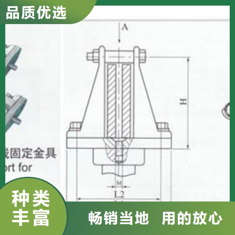 母线金具限流熔断器诚信可靠