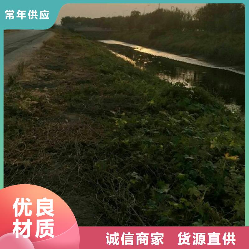 污泥处理-土壤固化剂自有厂家