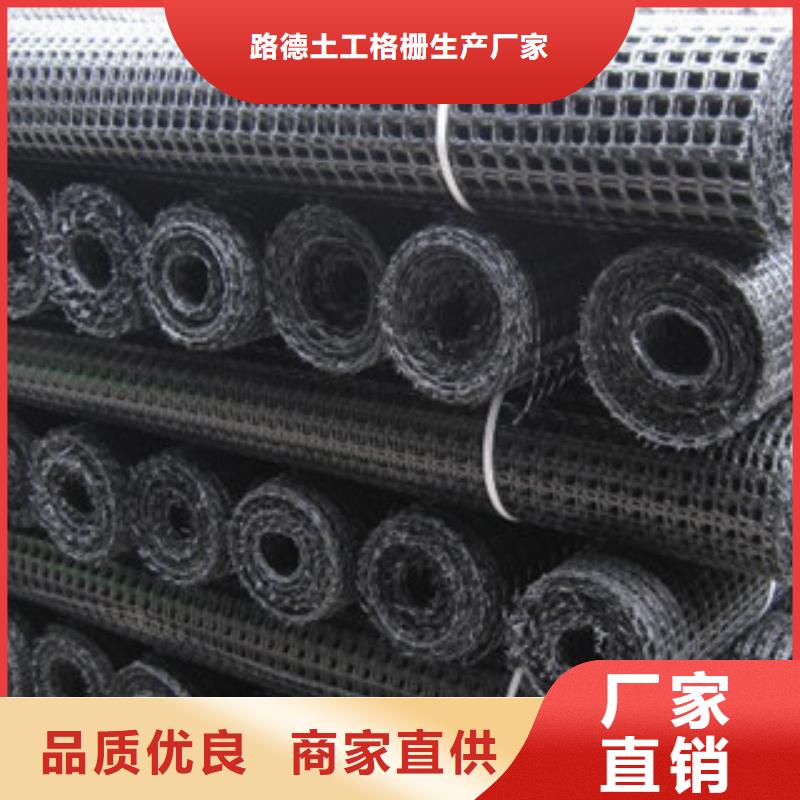 双向塑料格栅复合土工布专业生产N年