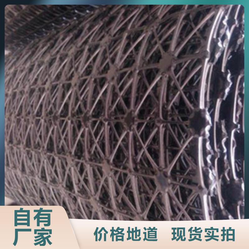 钢塑土工格栅玻纤土工格栅好产品放心购