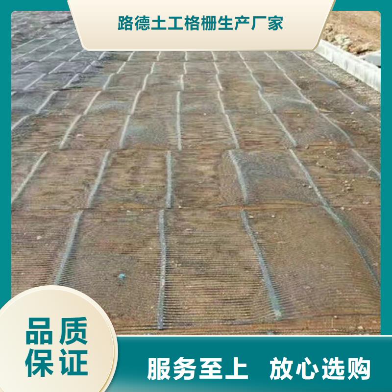 单向塑料格栅_【三维植被网】应用领域