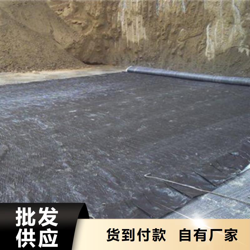 【膨润土防水毯】玻纤土工格栅材质实在