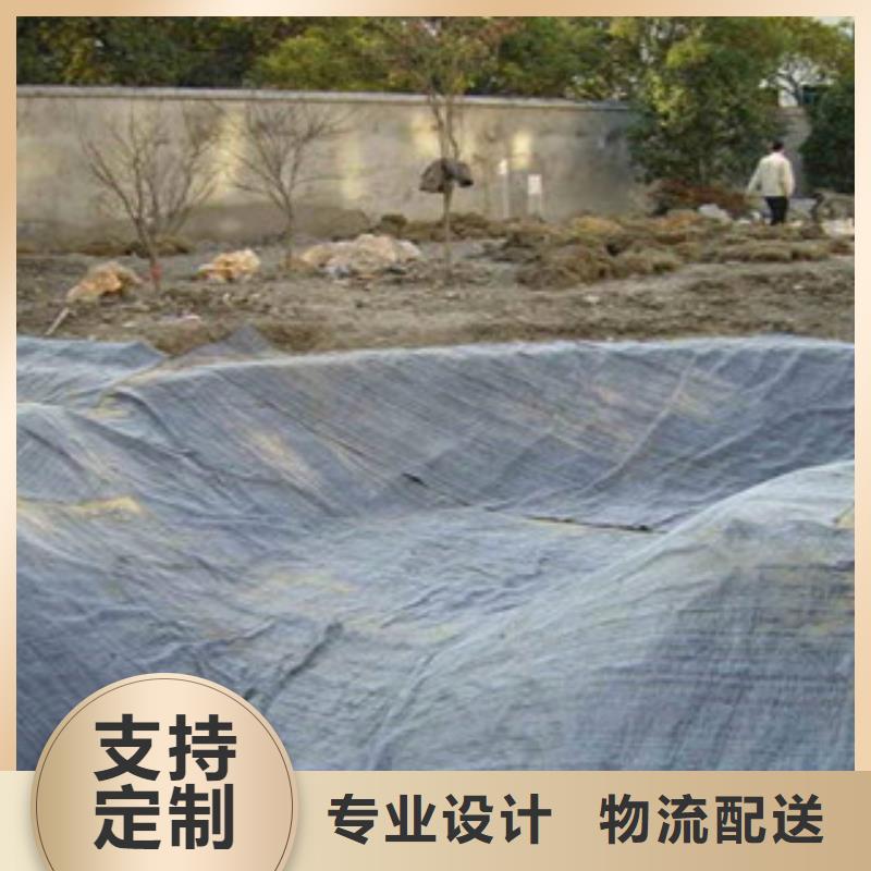 膨润土防水毯塑料土工格栅我们更专业