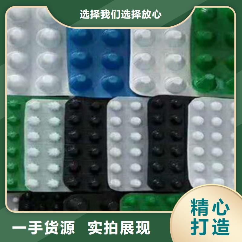 塑料排水板-三维植被网产品优势特点