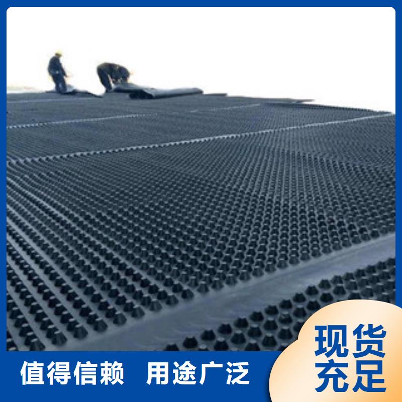 塑料排水板玻纤土工格栅价格实惠