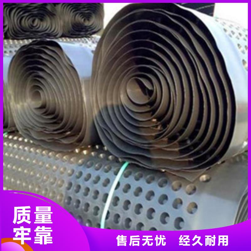 塑料排水板玻纤土工格栅精选好货