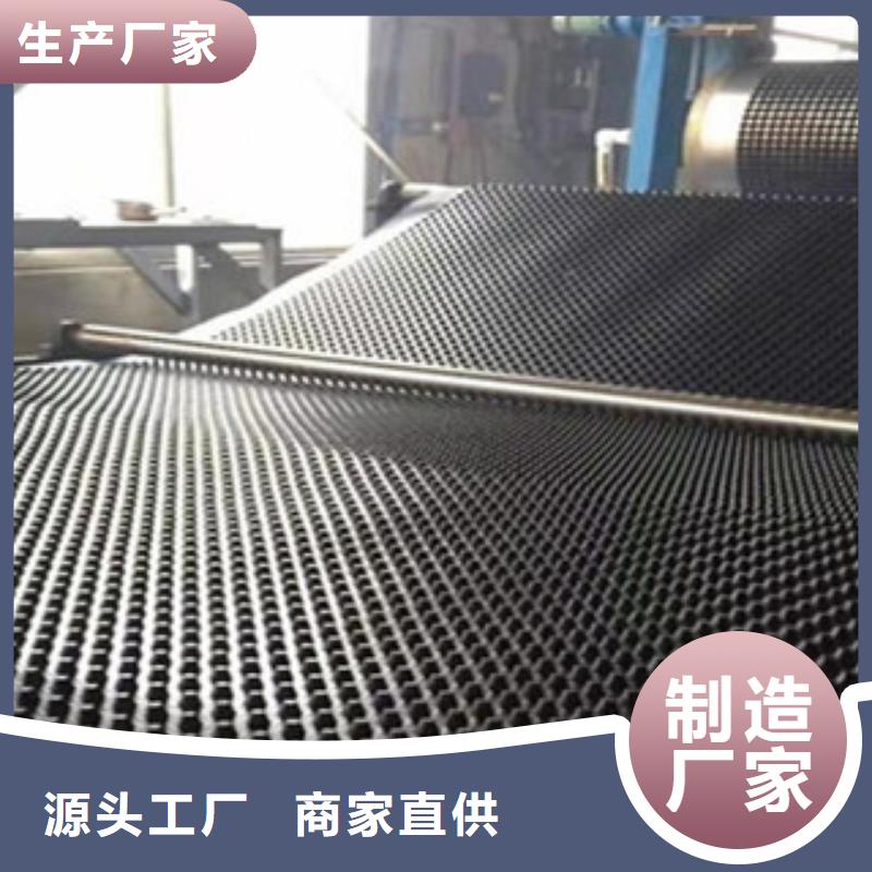 塑料排水板,塑料土工格栅质优价保