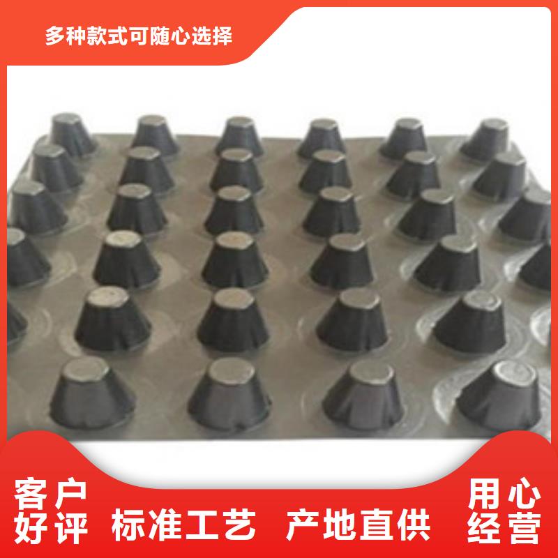 塑料排水板【玻纤土工格栅】专注生产N年