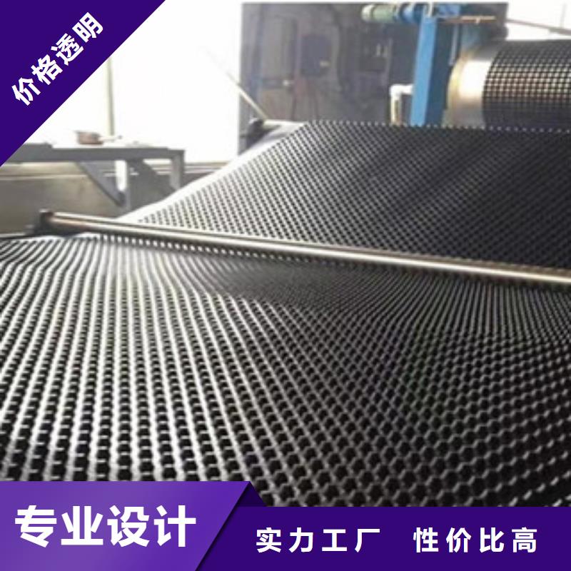 塑料排水板玻纤土工格栅精选好货