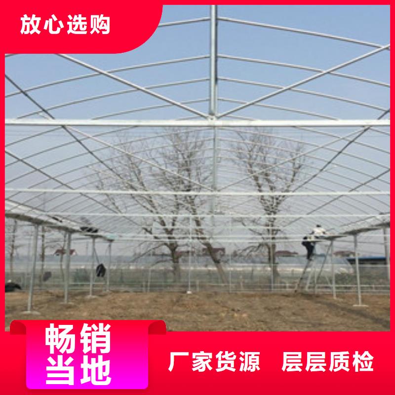 【大棚管】薄壁镀锌管按需定制真材实料