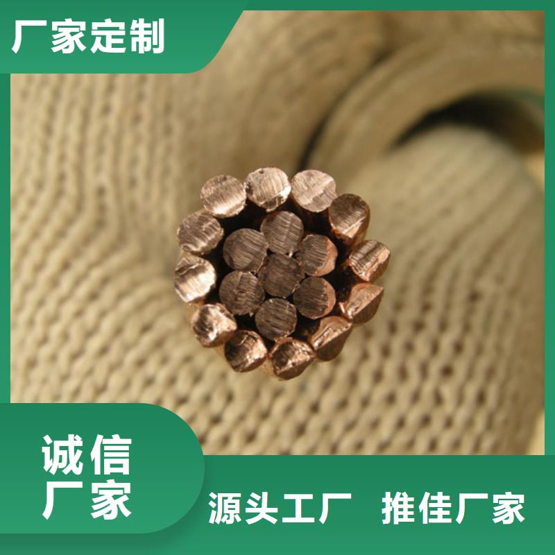 镀锡铜绞线标准货源有现货