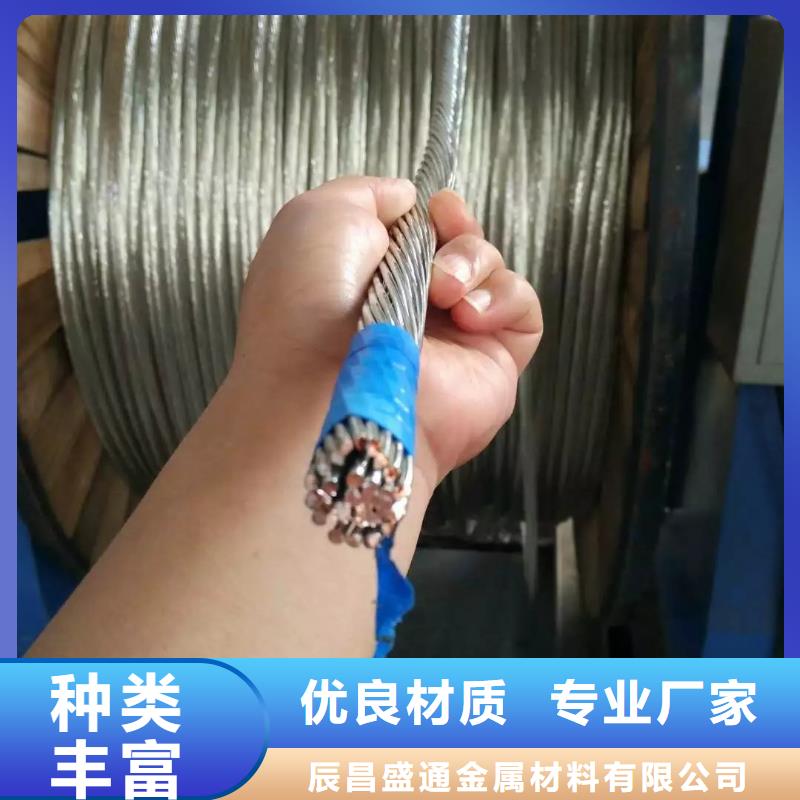 铜绞线紫铜排通过检测
