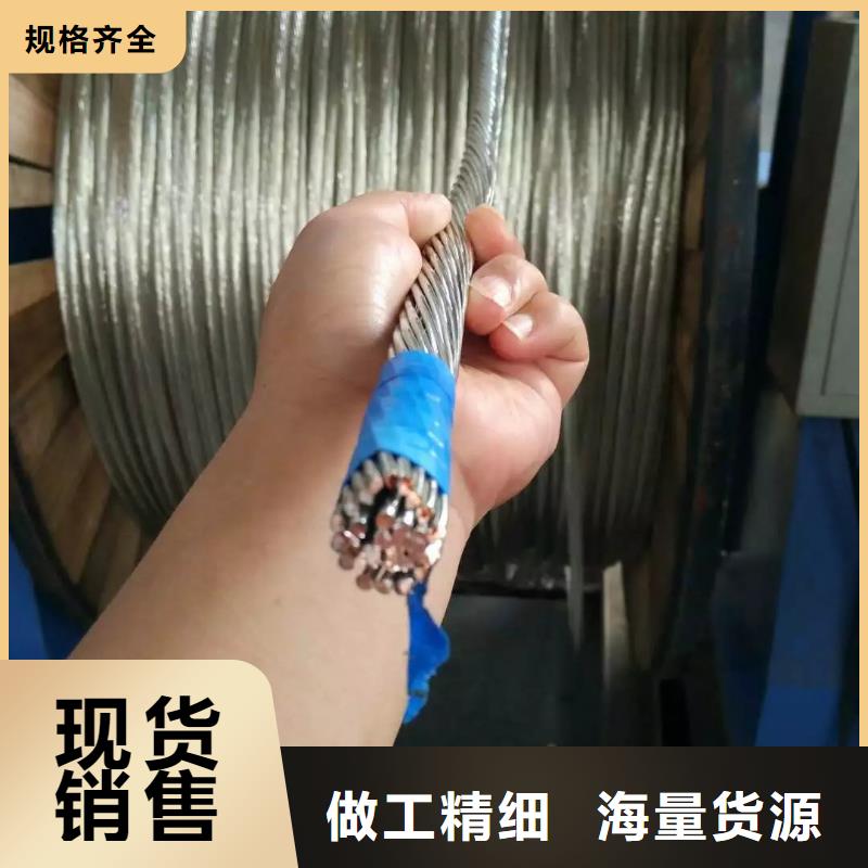 镀锡铜绞线进场检验标准近期行情一米多少钱