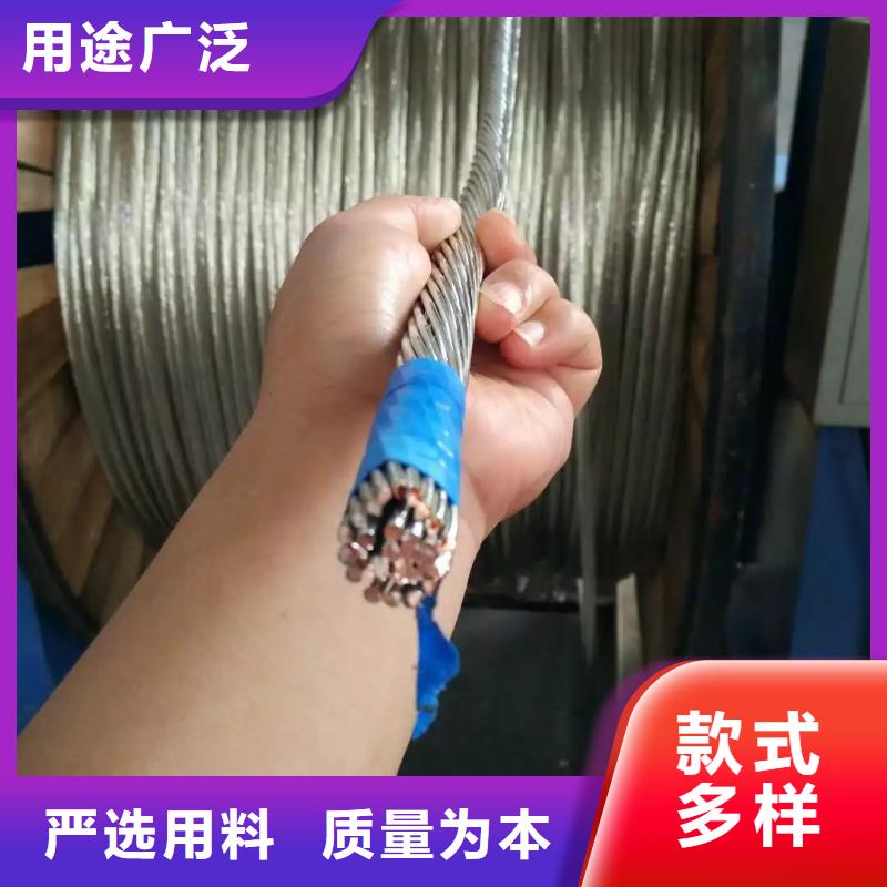 铜绞线紫铜排精选货源