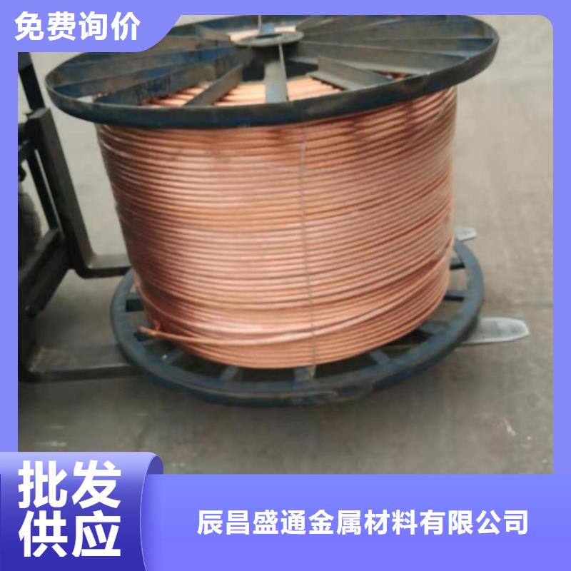 铜绞线,紫铜排畅销当地