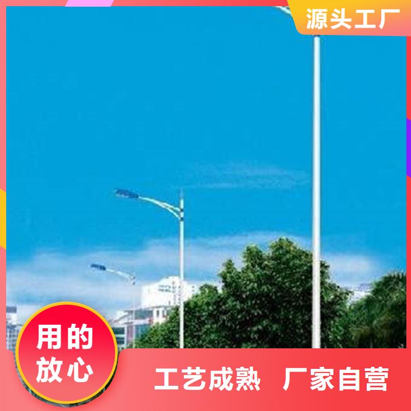 太阳能市电-路灯生产厂家售后无忧