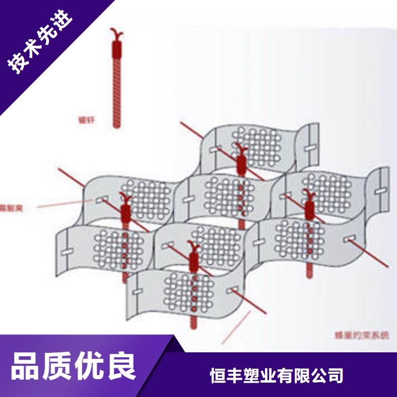 【蜂巢格室_土工布随到随提】