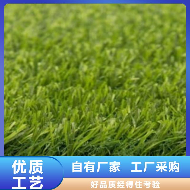 【人造草坪】塑胶地板卓越品质正品保障