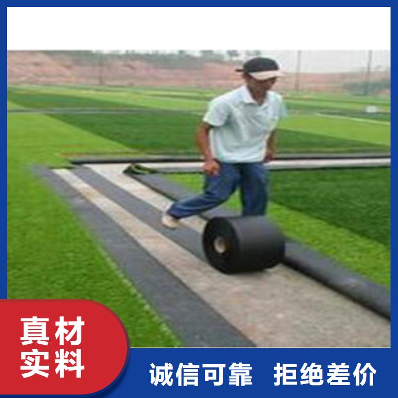 【人造草坪】塑胶地板卓越品质正品保障