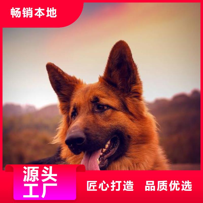 【德国牧羊犬】,黑狼定制批发