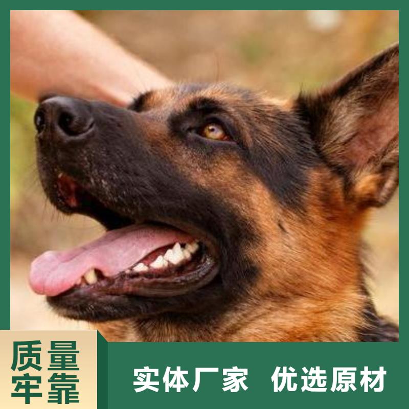 【德国牧羊犬_黑狼好品质用的放心】