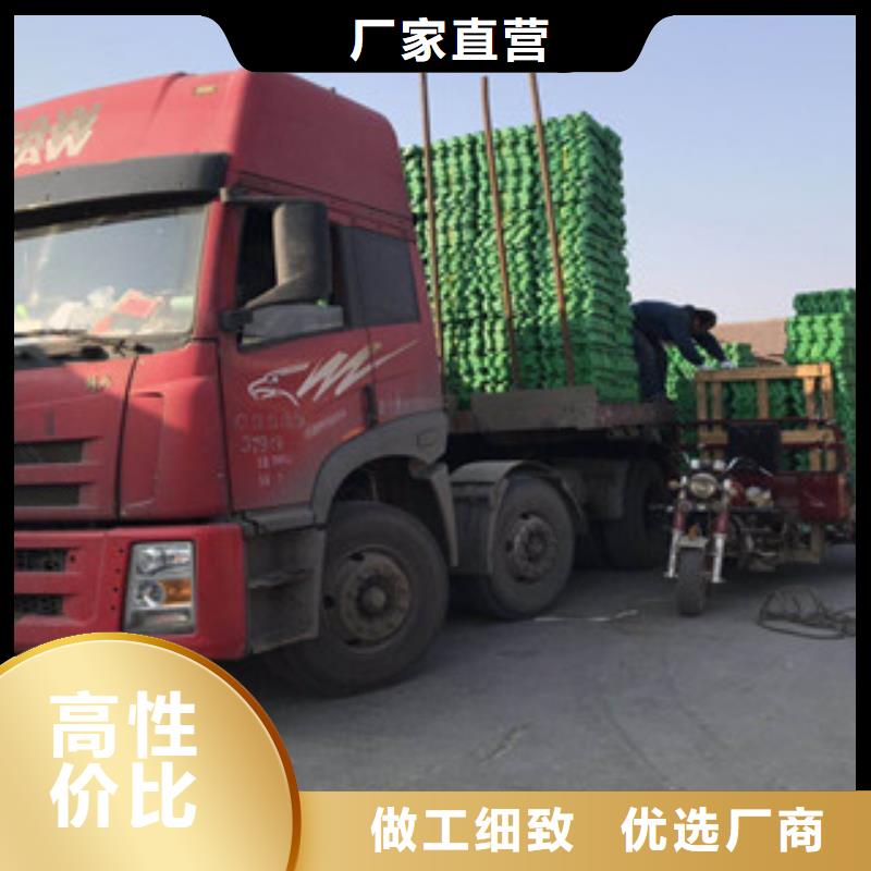 【环保植草格】植草格厂家源头工厂量大优惠