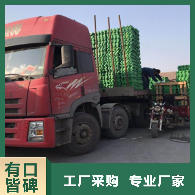 环保植草格【膨润土防水毯厂家】源头厂商