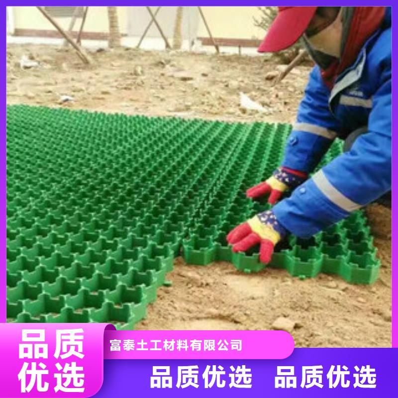 【环保植草格】,膨润土防水毯厂家匠心工艺