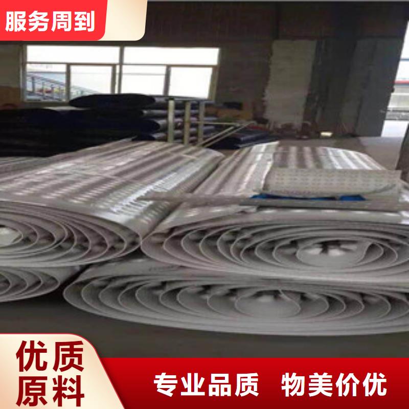 塑料排水板【膨润土防水毯厂家】好品质用的放心
