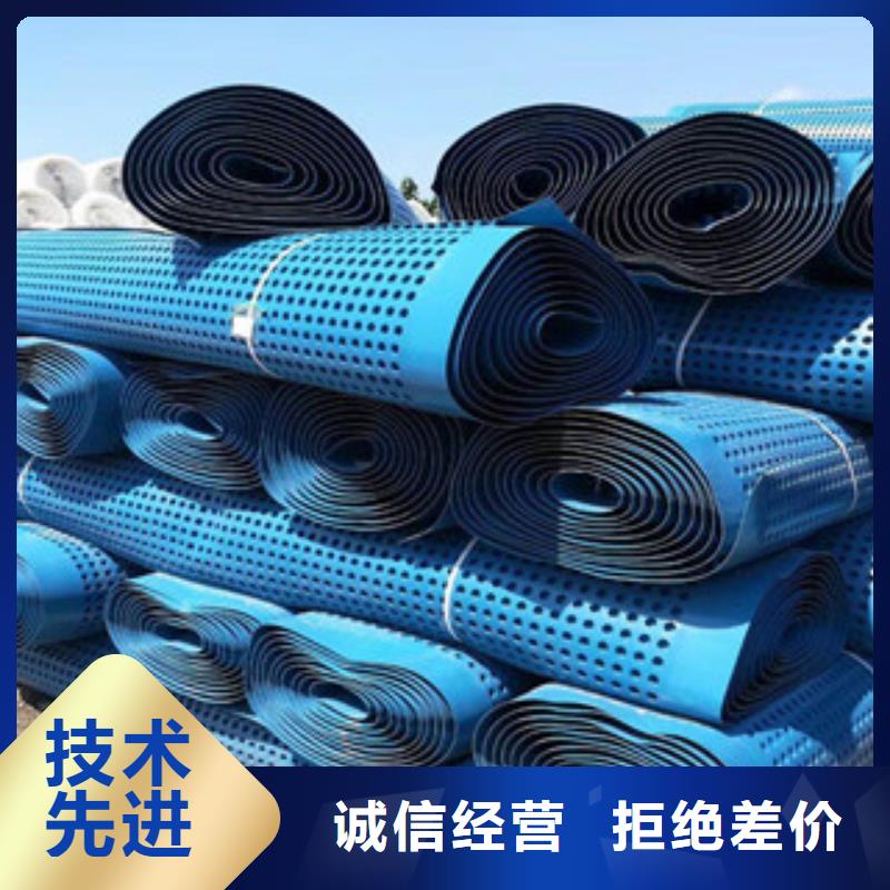 塑料排水板蓄排水板厂家实力见证
