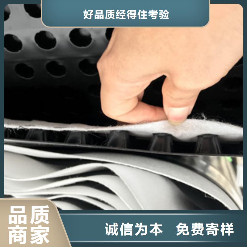 排水板,蓄排水板厂家畅销当地
