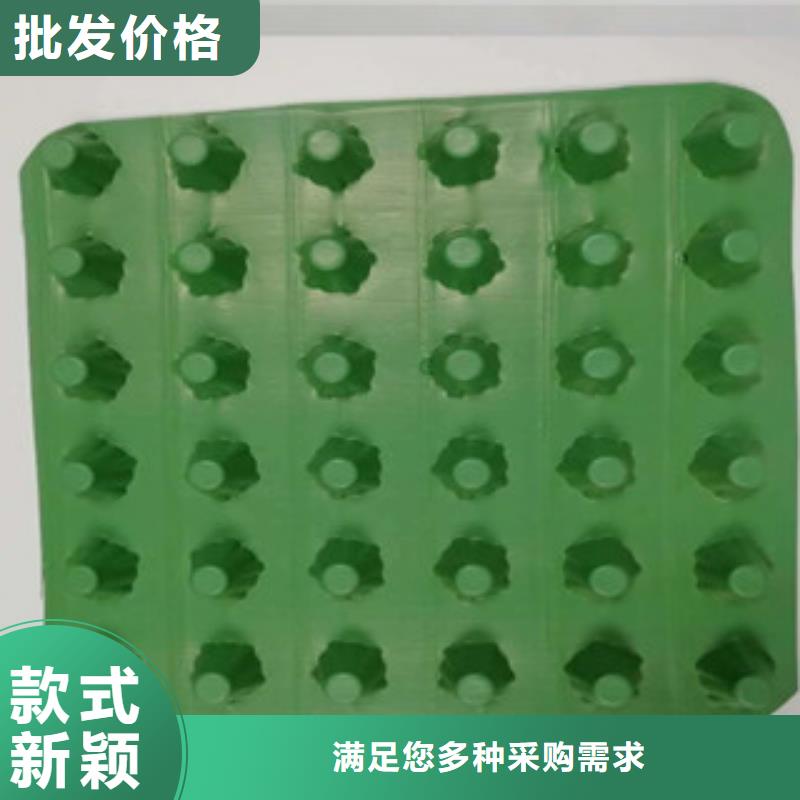 排水板-土工布厂家价格合理